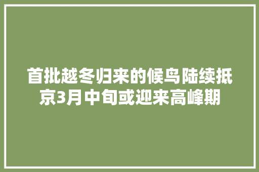 首批越冬归来的候鸟陆续抵京3月中旬或迎来高峰期
