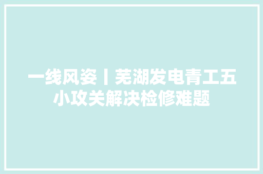 一线风姿丨芜湖发电青工五小攻关解决检修难题