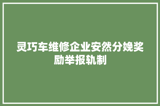 灵巧车维修企业安然分娩奖励举报轨制