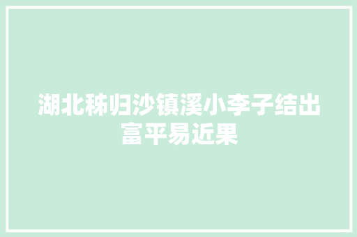湖北秭归沙镇溪小李子结出富平易近果