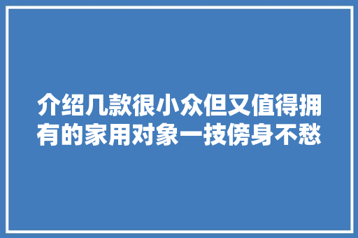 介绍几款很小众但又值得拥有的家用对象一技傍身不愁吃穿