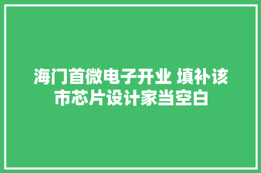海门首微电子开业 填补该市芯片设计家当空白