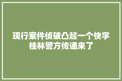 现行案件侦破凸起一个快字桂林警方传递来了