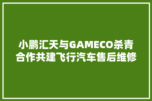 小鹏汇天与GAMECO杀青合作共建飞行汽车售后维修体系