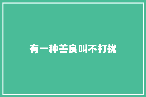 有一种善良叫不打扰