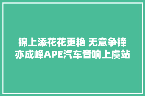锦上添花花更艳 无意争锋亦成峰APE汽车音响上虞站精彩纷呈