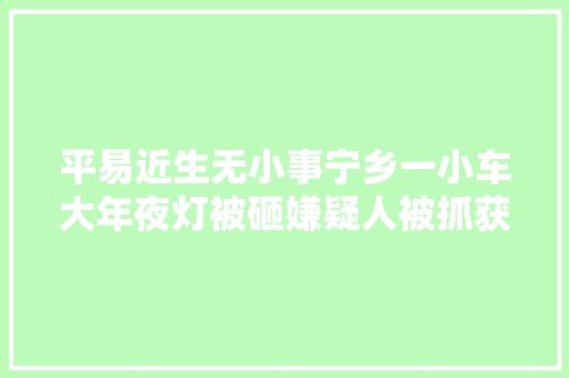 平易近生无小事宁乡一小车大年夜灯被砸嫌疑人被抓获
