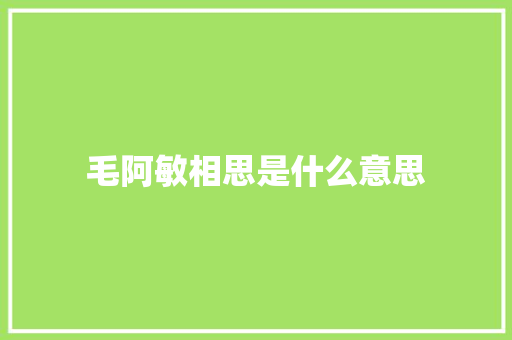 毛阿敏相思是什么意思 休闲娱乐