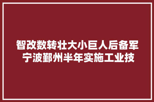 智改数转壮大小巨人后备军 宁波鄞州半年实施工业技改项目超百个