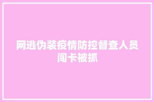 网逃伪装疫情防控督查人员闯卡被抓