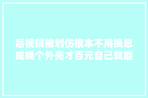 后视镜被划伤根本不用换总成换个外壳才百元自己就能换