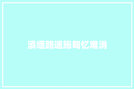 滇缅路遥施甸忆难消