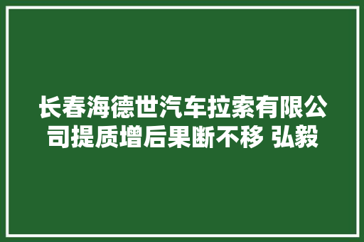 长春海德世汽车拉索有限公司提质增后果断不移 弘毅笃行立异成长