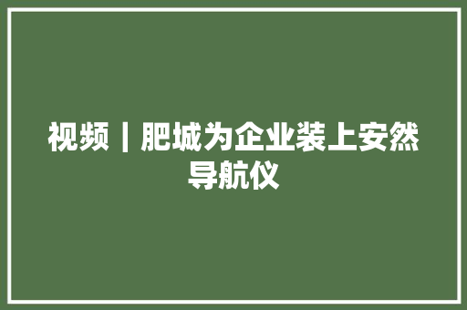 视频｜肥城为企业装上安然导航仪