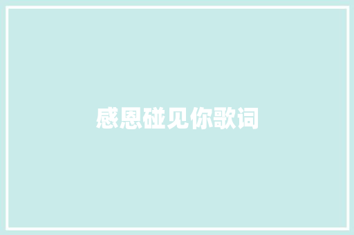 感恩碰见你歌词