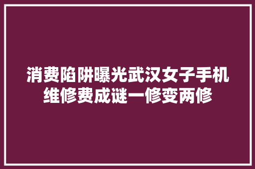 消费陷阱曝光武汉女子手机维修费成谜一修变两修