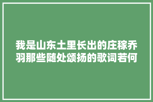 我是山东土里长出的庄稼乔羽那些随处颂扬的歌词若何写出
