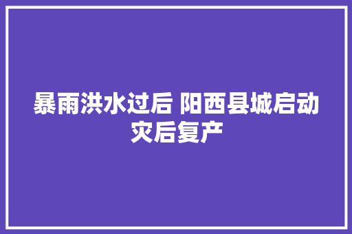 暴雨洪水过后 阳西县城启动灾后复产
