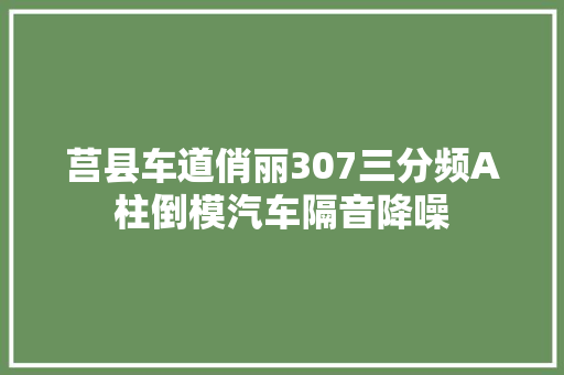 莒县车道俏丽307三分频A柱倒模汽车隔音降噪