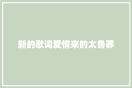 新的歌词爱情来的太鲁莽