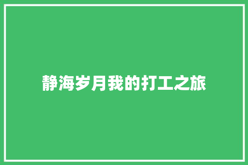 静海岁月我的打工之旅