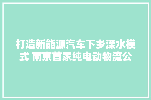 打造新能源汽车下乡溧水模式 南京首家纯电动物流公司成立