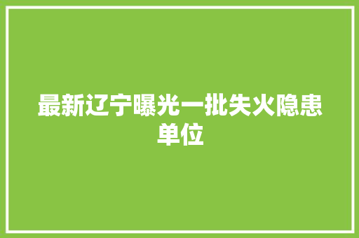 最新辽宁曝光一批失火隐患单位