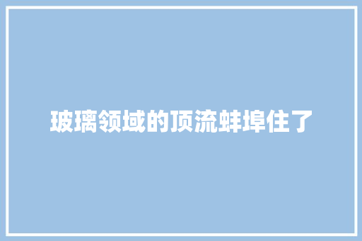 玻璃领域的顶流蚌埠住了
