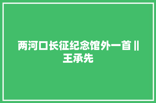 两河口长征纪念馆外一首‖王承先