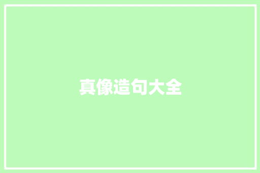真像造句大全