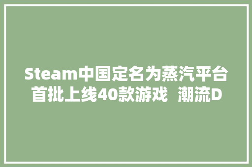 Steam中国定名为蒸汽平台首批上线40款游戏  潮流Dim Sum