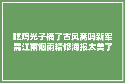 吃鸡光子捅了古风窝吗新军需江南烟雨精修海报太美了