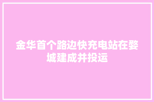 金华首个路边快充电站在婺城建成并投运