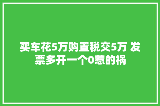 买车花5万购置税交5万 发票多开一个0惹的祸
