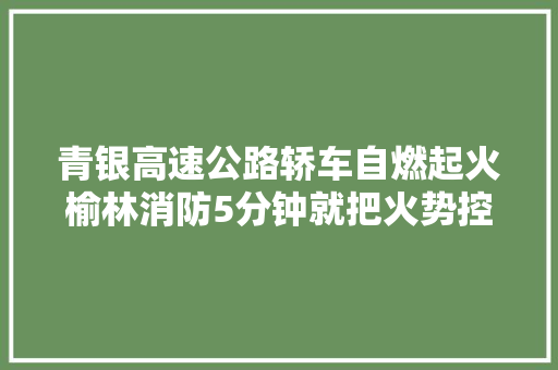青银高速公路轿车自燃起火榆林消防5分钟就把火势控制了