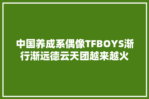 中国养成系偶像TFBOYS渐行渐远德云天团越来越火