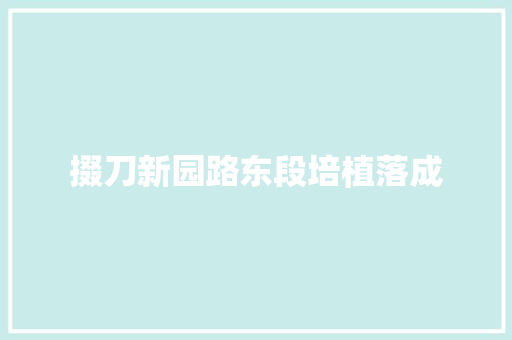 掇刀新园路东段培植落成