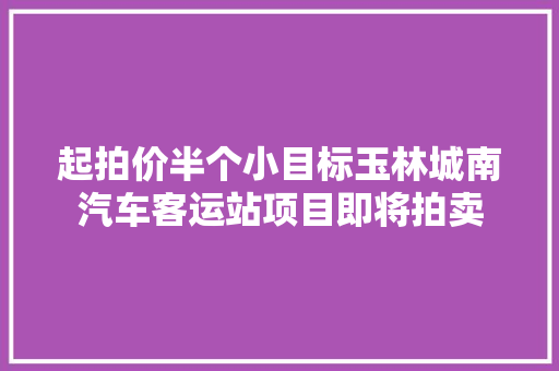 起拍价半个小目标玉林城南汽车客运站项目即将拍卖