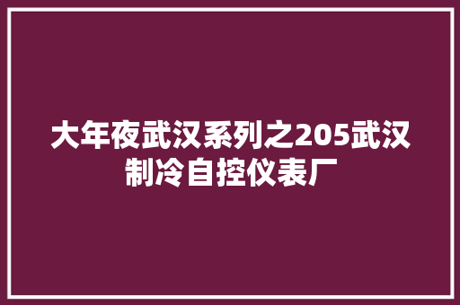 大年夜武汉系列之205武汉制冷自控仪表厂 汽车知识