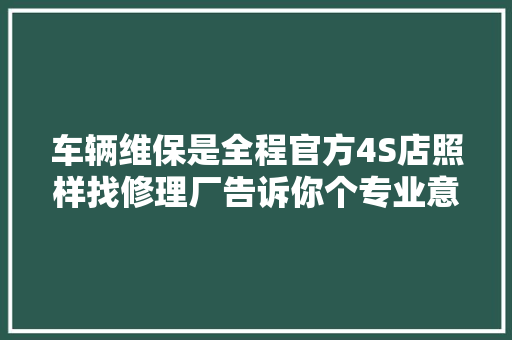 车辆维保是全程官方4S店照样找修理厂告诉你个专业意见
