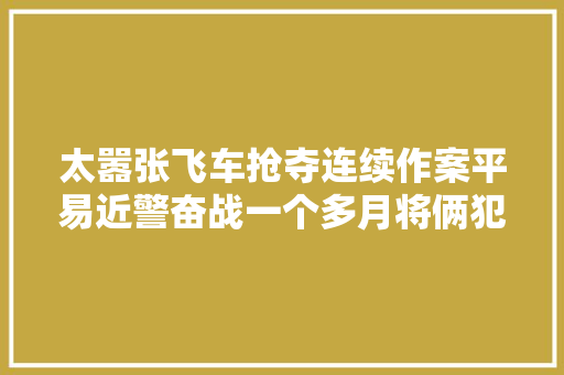 太嚣张飞车抢夺连续作案平易近警奋战一个多月将俩犯罪嫌疑人搜捕归案