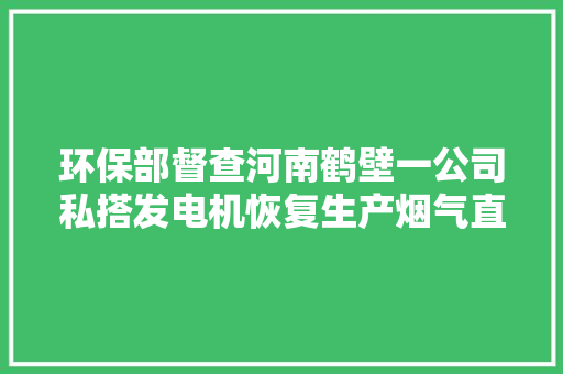 环保部督查河南鹤壁一公司私搭发电机恢复生产烟气直排