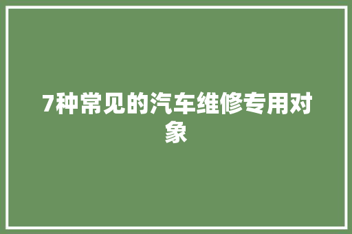 7种常见的汽车维修专用对象