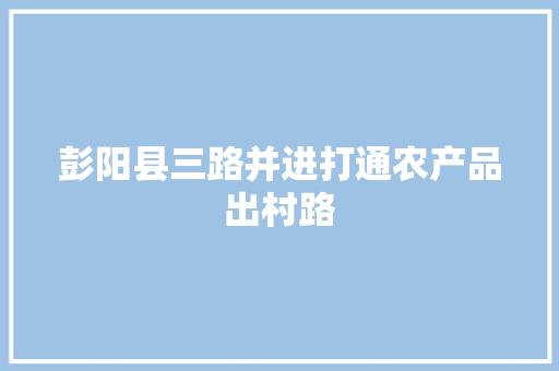 彭阳县三路并进打通农产品出村路