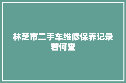 林芝市二手车维修保养记录若何查
