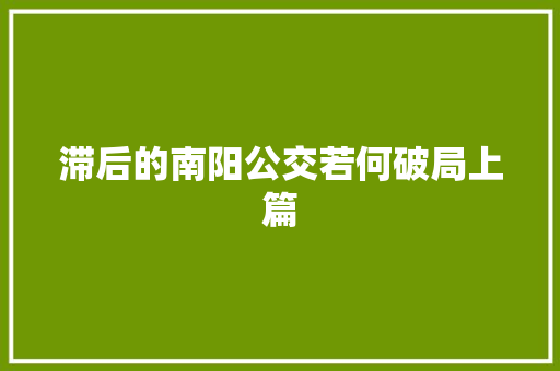 滞后的南阳公交若何破局上篇
