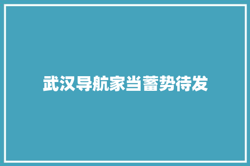 武汉导航家当蓄势待发