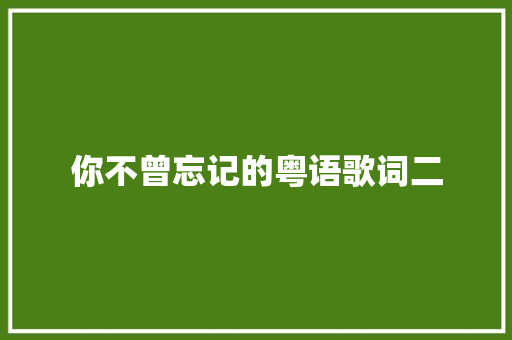 你不曾忘记的粤语歌词二