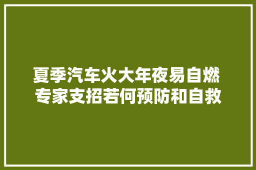 夏季汽车火大年夜易自燃 专家支招若何预防和自救