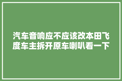 汽车音响应不应该改本田飞度车主拆开原车喇叭看一下就知道了